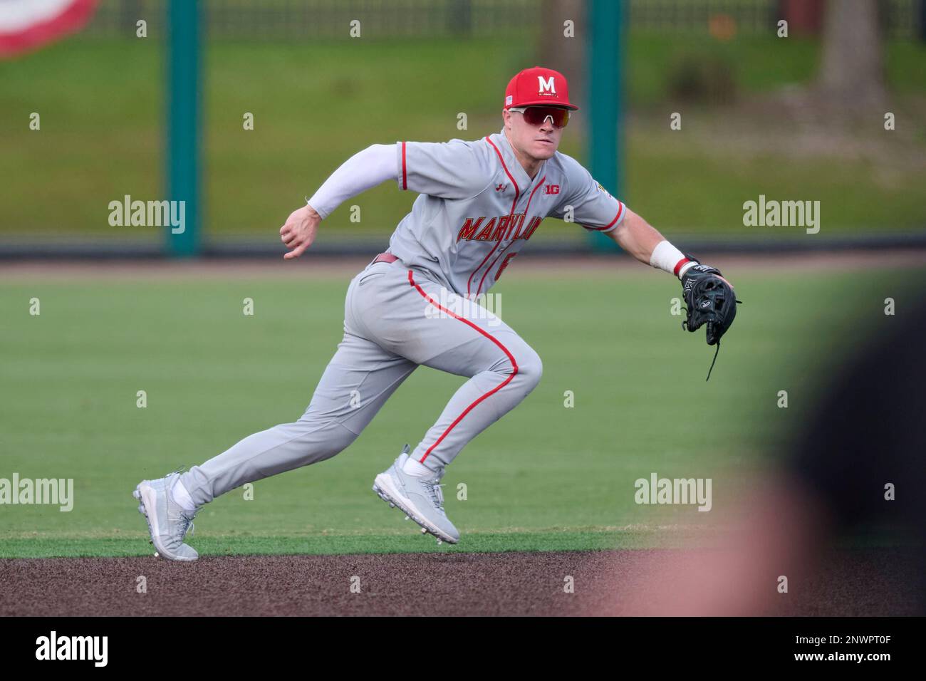 Maryland Terrapins shortstop Matt Shaw (6) during an NCAA baseball game