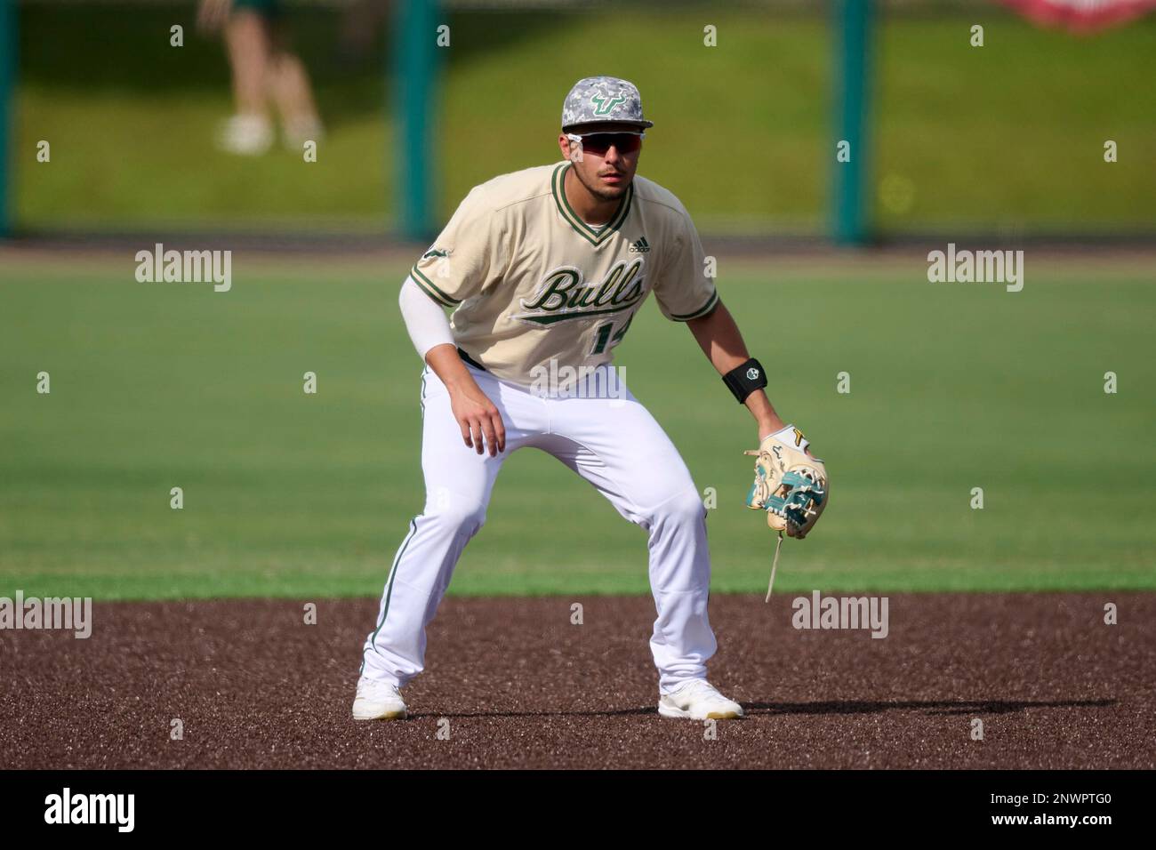 Travis Sankovich - Baseball - USF Athletics