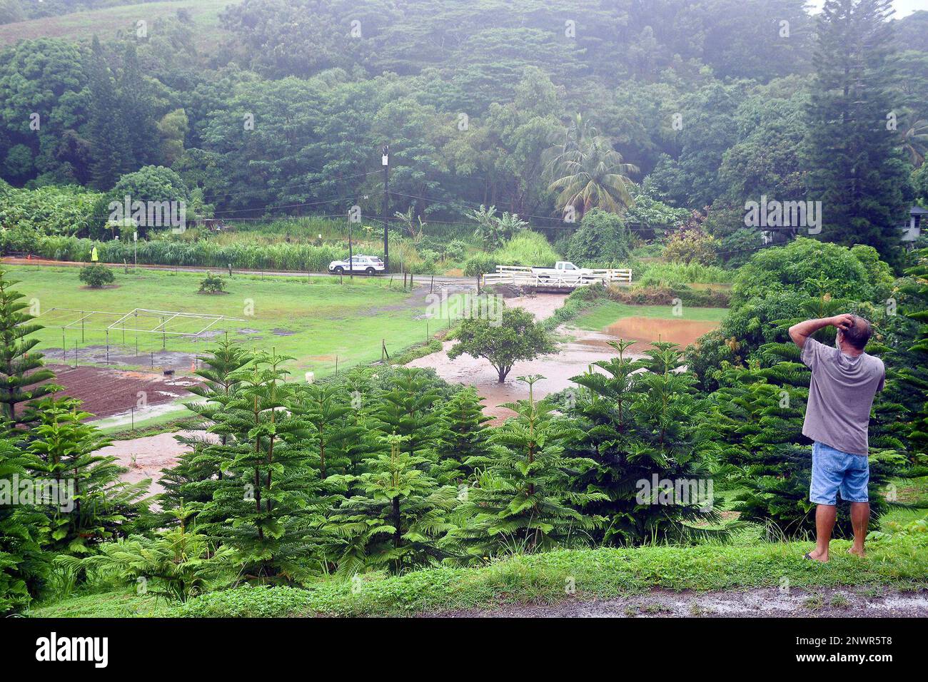 Tony Reis, a resident of Lawai, Kauai, reacts while watching a Kauai