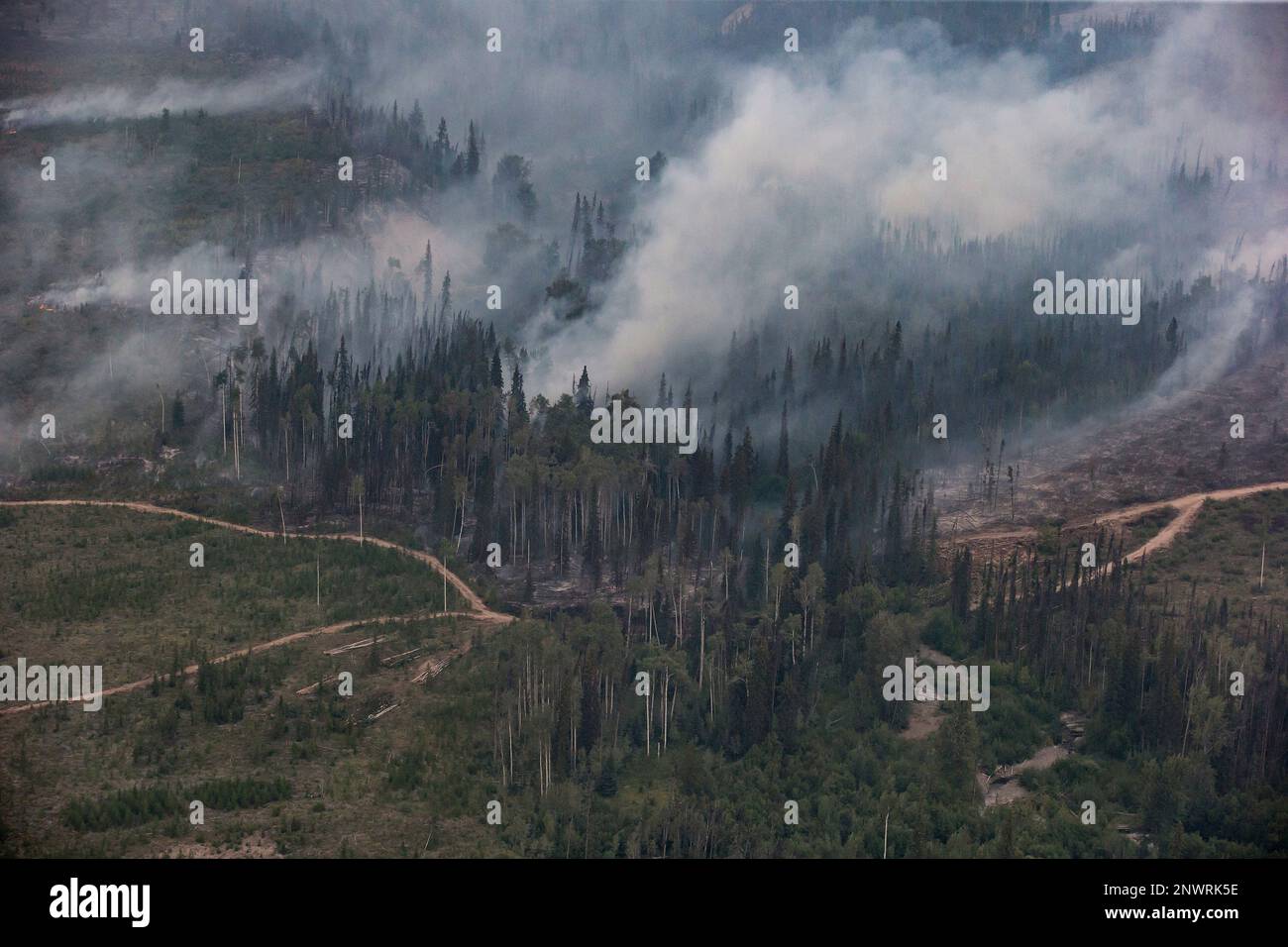 A wildfire burns near the Nadleh Whut'en First Nation in Fort Fraser
