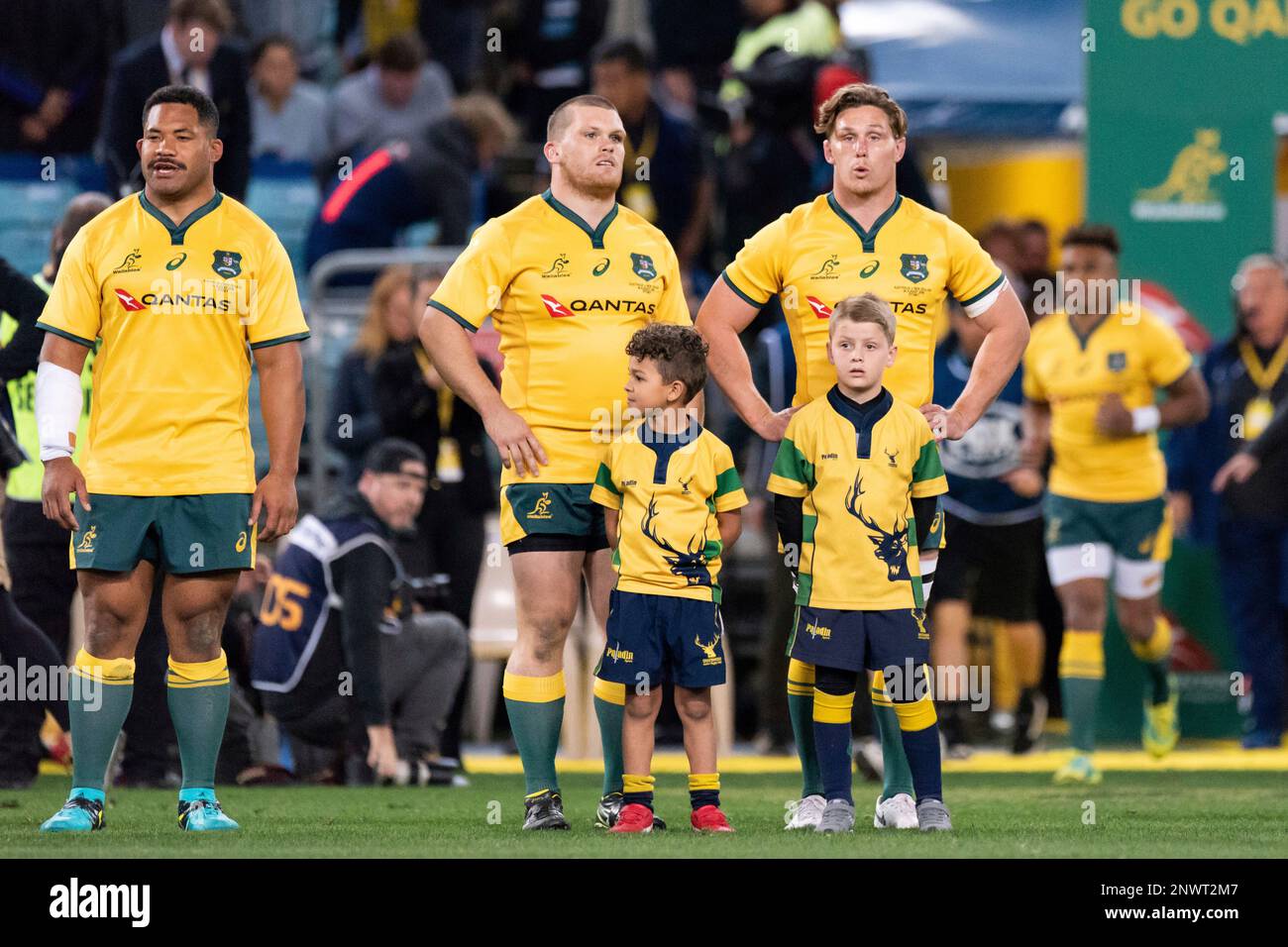 SYDNEY, AUSTRALIA - AUGUST 18: Australian team stand for the national ...