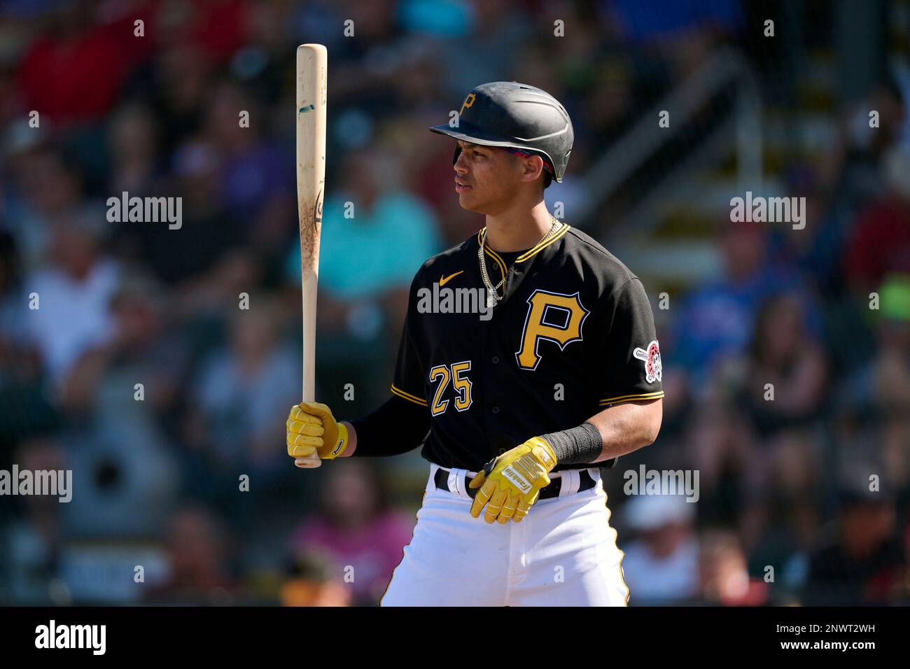 Pittsburgh Pirates MLB Spring Training