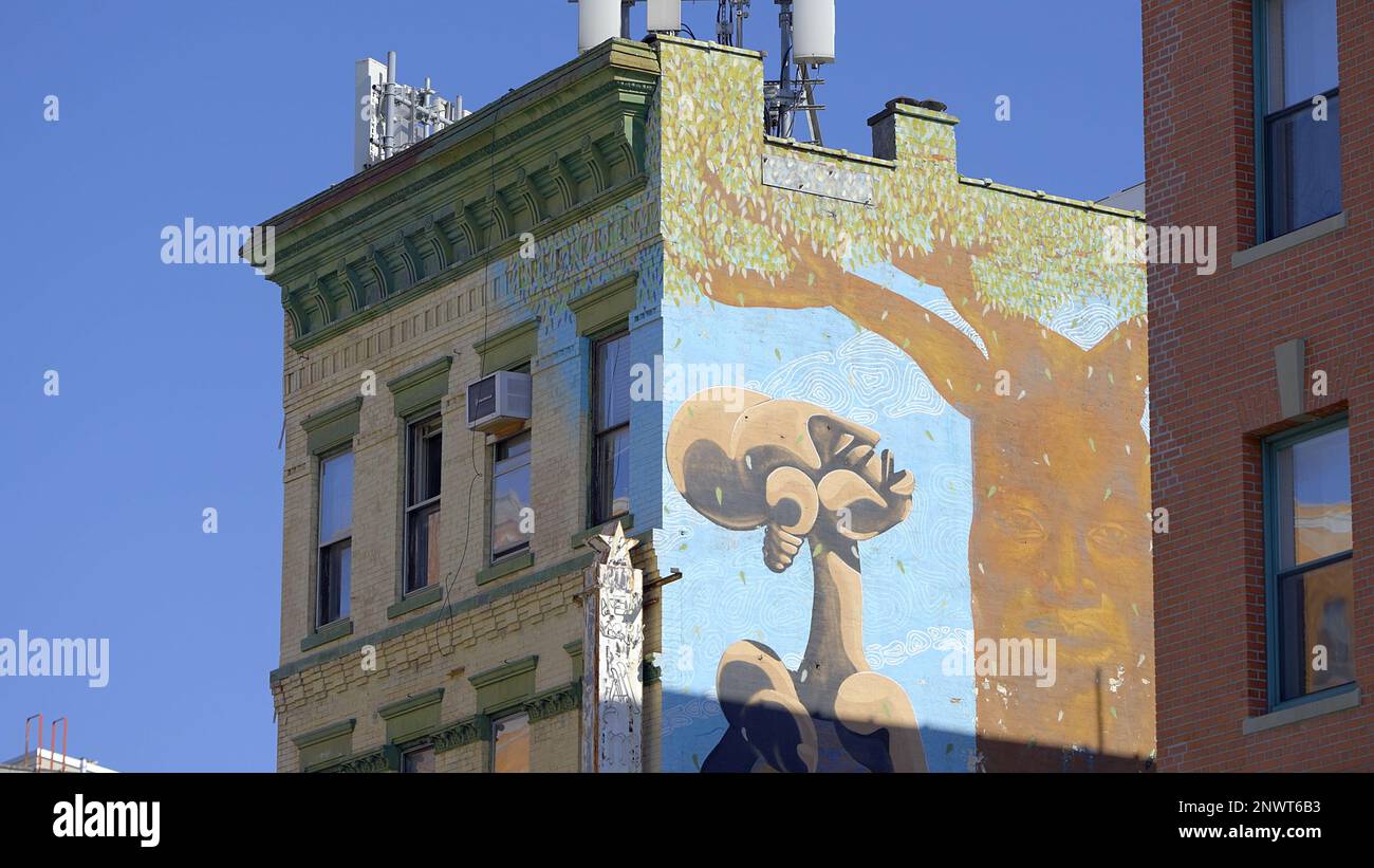 Murals on house walls in New York NEW YORK CITY, USA FEBRUARY 14