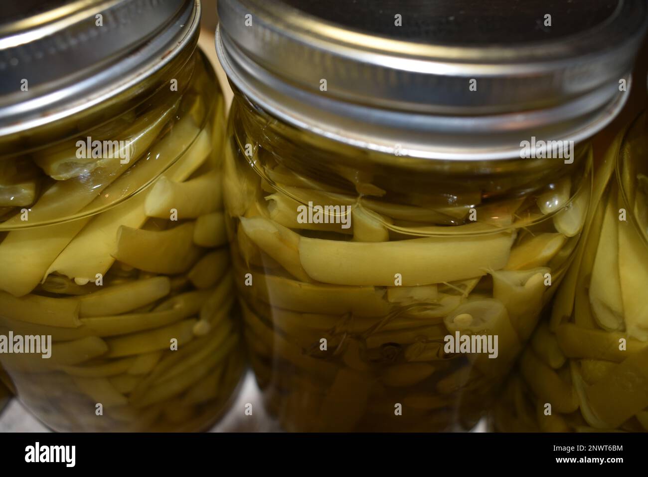Jars of home canned green beans sitting on a kitchen counter cooling