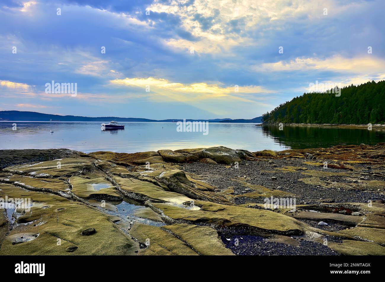 Tidal lsland hires stock photography and images Alamy