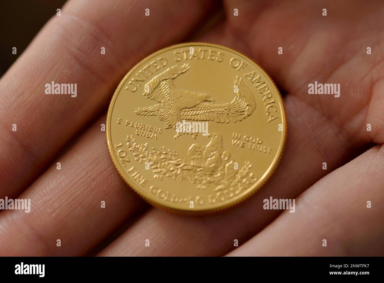 1 Ounce, American Eagle, Gold Coin Stock Photo Alamy