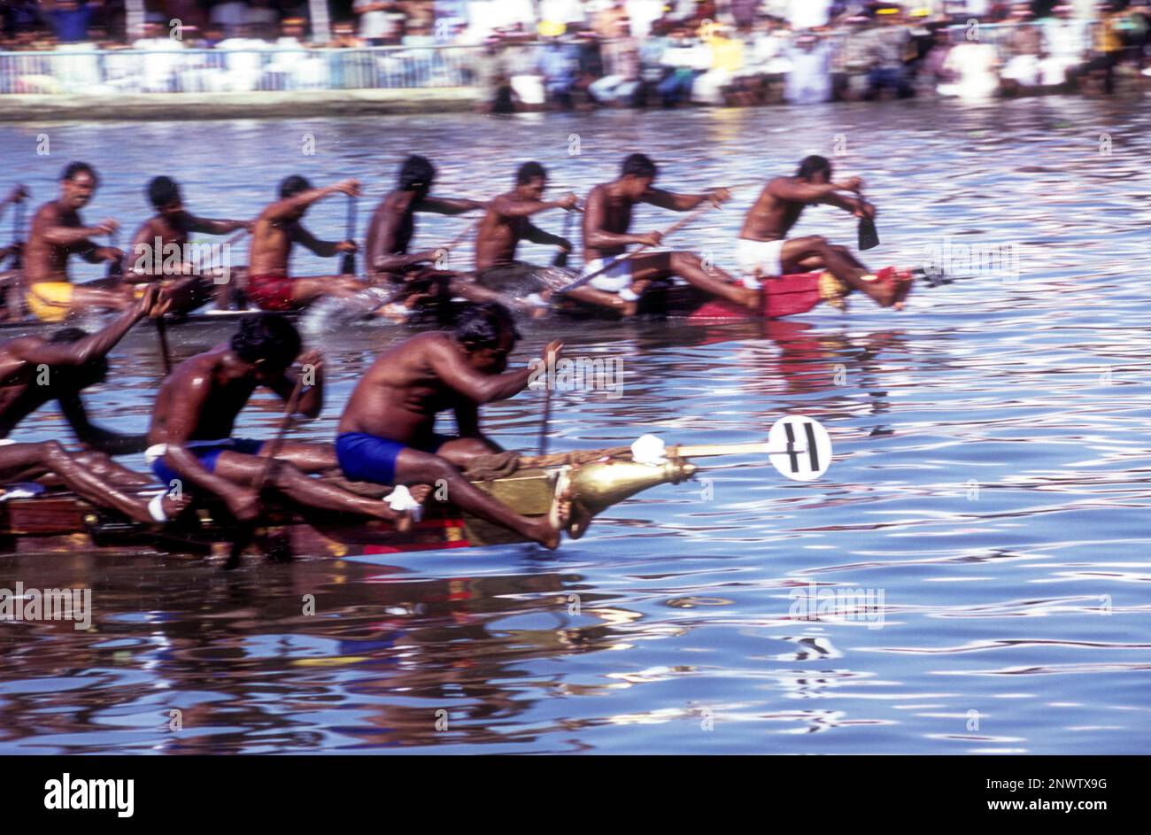 Competitors rowing neck to neck, Boat racing at Payippad near Haripad
