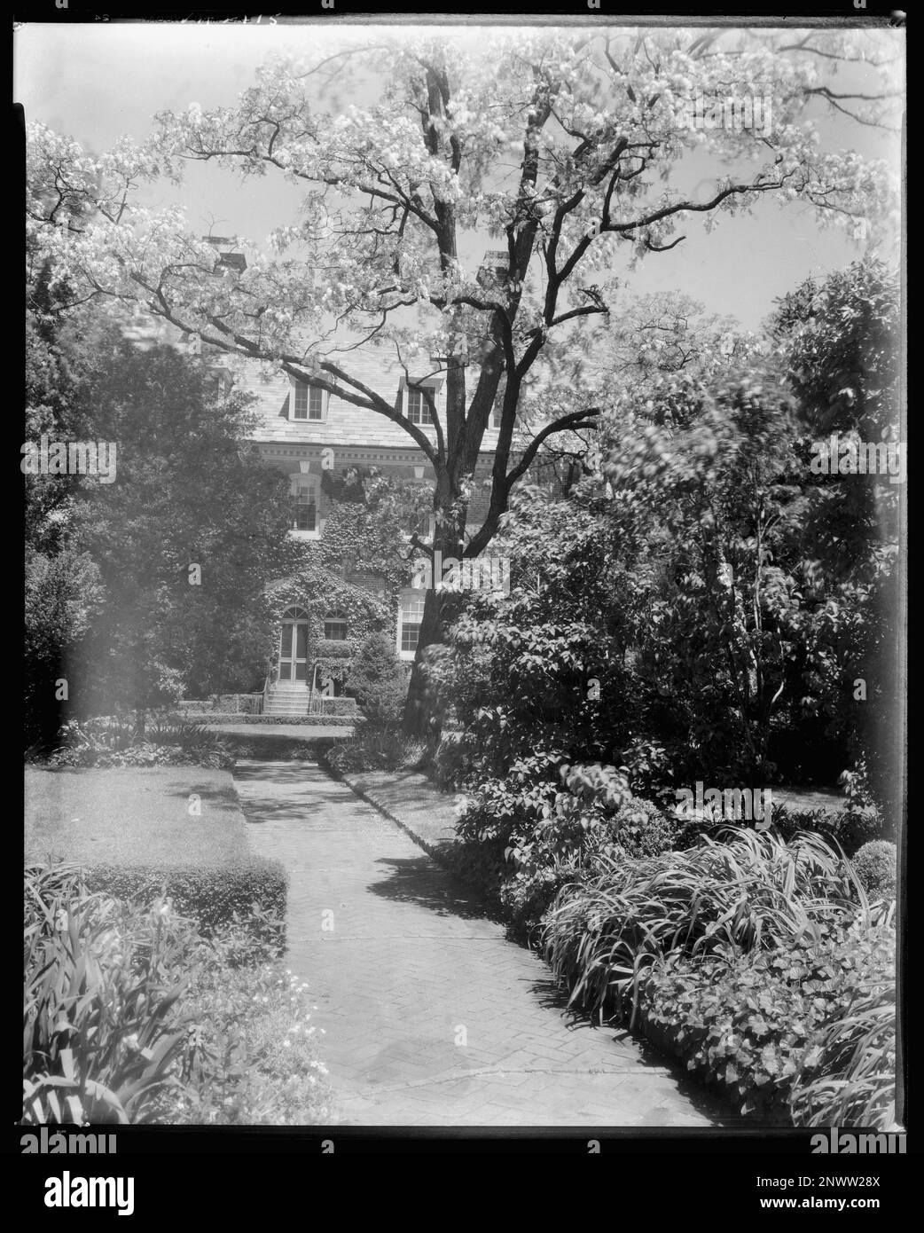 York Hall, State Route 1005 and Main St., Yorktown, York County, Virginia. Carnegie Survey of