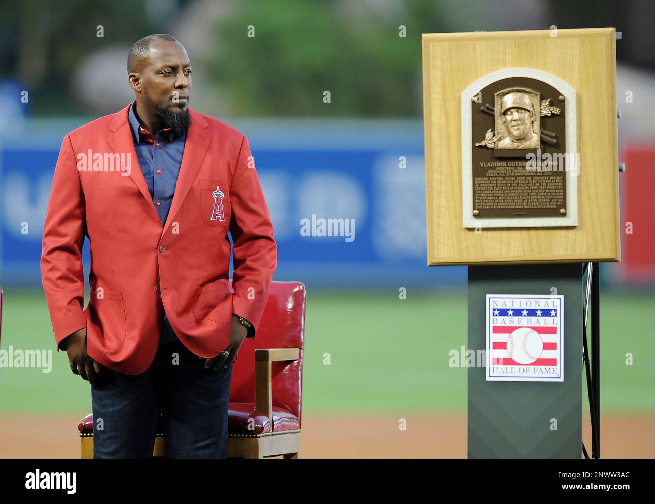 ANAHEIM, CA - AUGUST 10: Former Los Angeles Angels outfielder Vladimir  Guerrero on the field next to his Baseball Hall of Fame plaque as Guerrero  is honored for becoming the first player