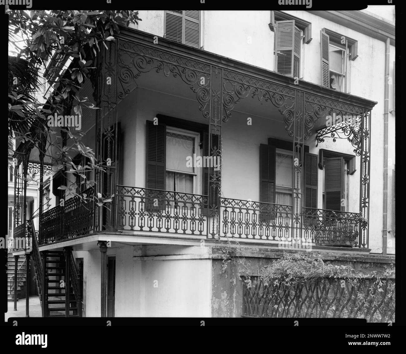 taylor Black and White Stock Photos & Images Alamy