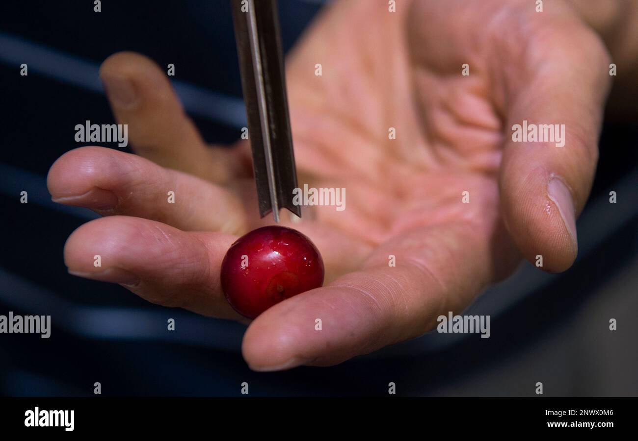 In this July 26, 2018, photo, Payson Fruit Growers coop general