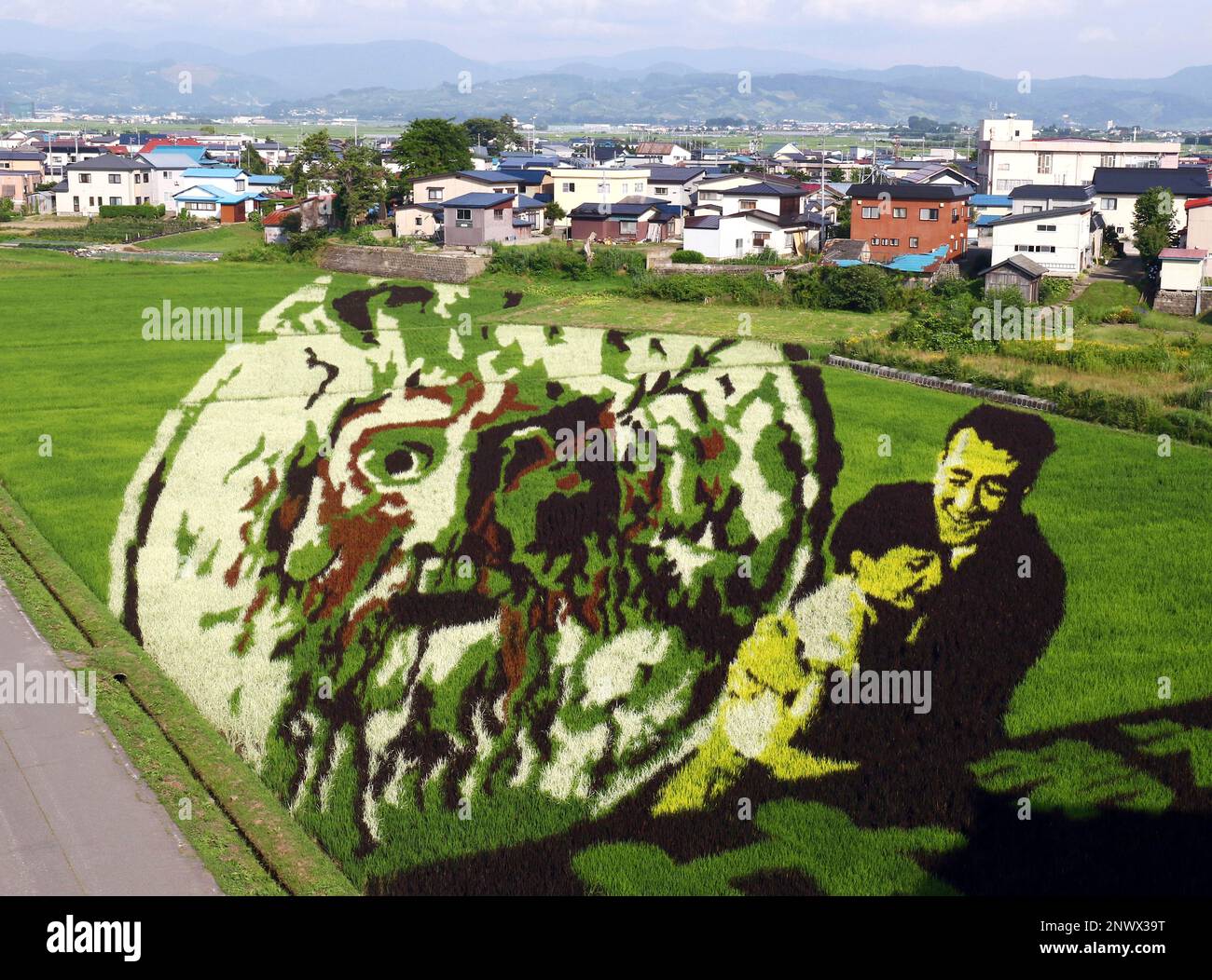 A photo shows the images of 