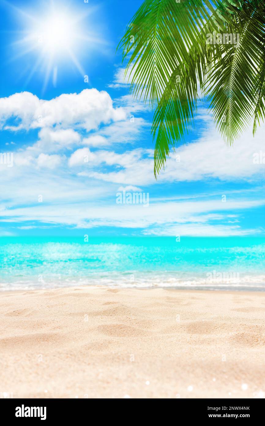 Tropical island paradise beach, green coconut palm tree leaf, sand, blue sea water turquoise ocean, sun sky white cloud, beautiful landscape, summer Stock Photo