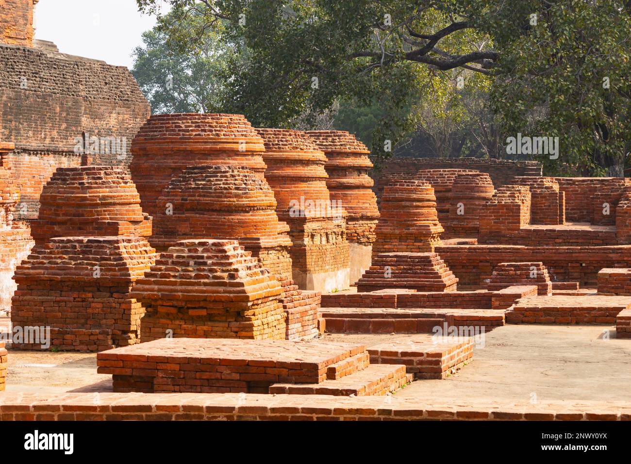 View of Ruins of Nalanda University considered as Worlds first residential University, from 427 Until 1197, Established by Gupta Empire and destroyed Stock Photo