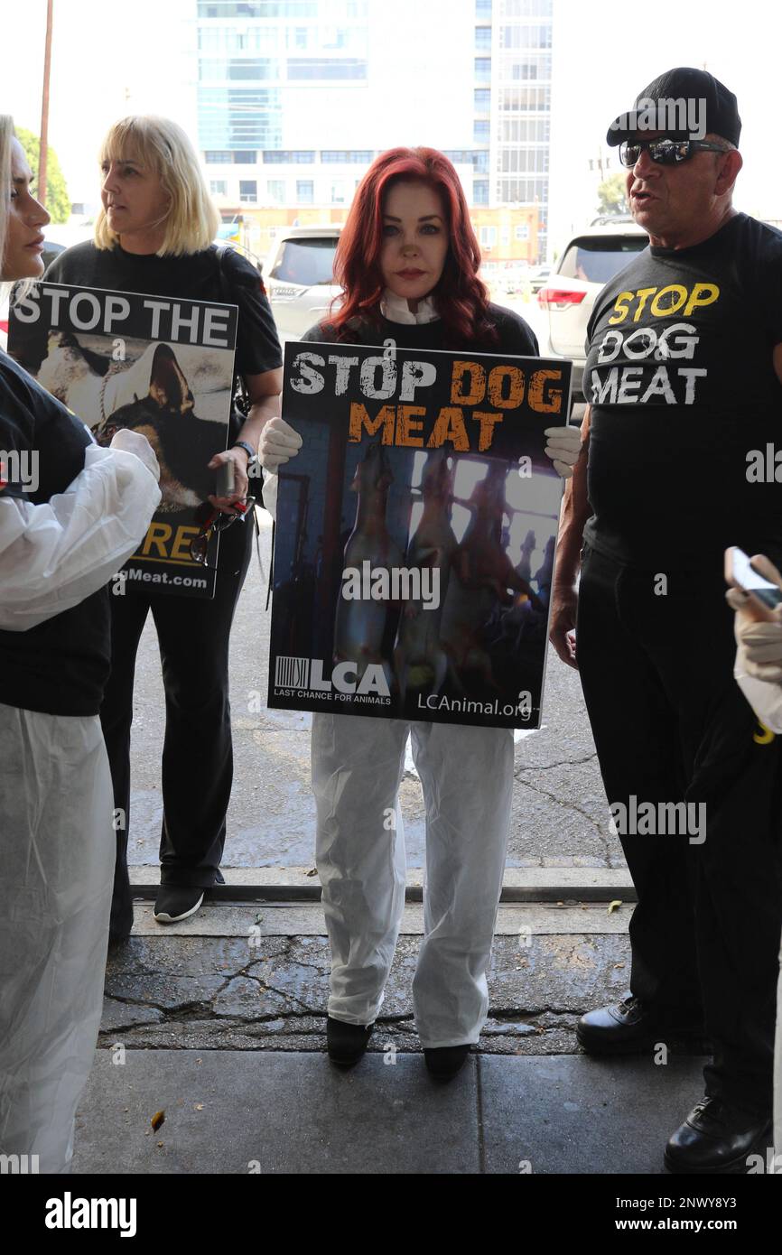 Photo by gotpap/STAR MAX/IPx 2018 7/17/18 Kim Basinger, Priscilla