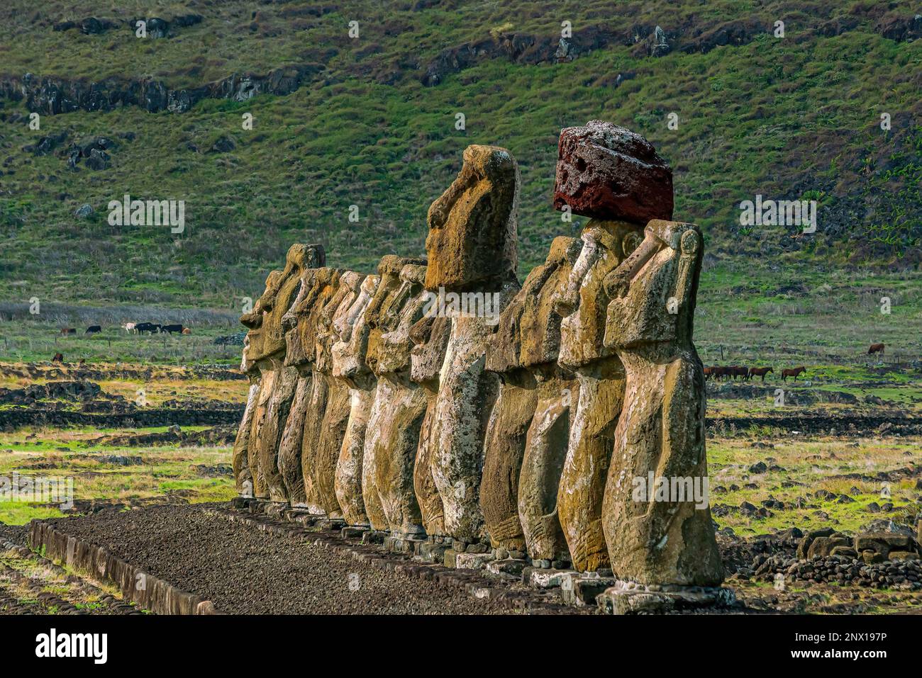 The ancient moai of Ahu Togariki, on Easter Island of Chile Stock Photo ...