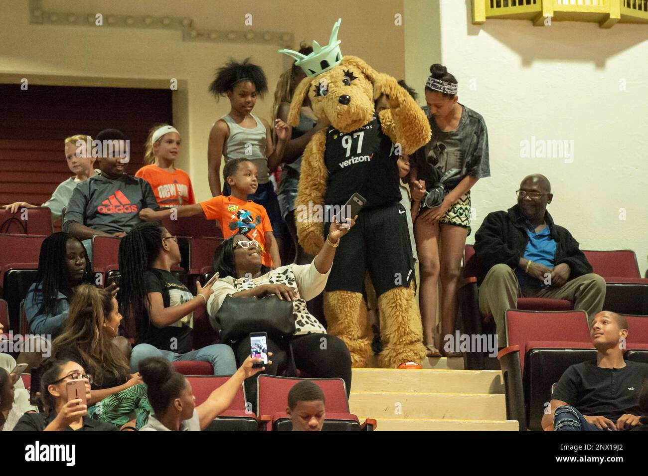 WHITE PLAINS, NY JUNE 26 New York Liberty mascot during the first