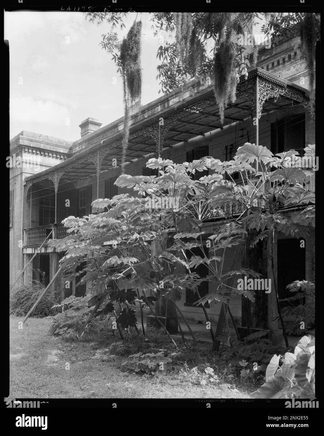 Belle Alliance, Donaldsonville vic., Assumption Parish, Louisiana