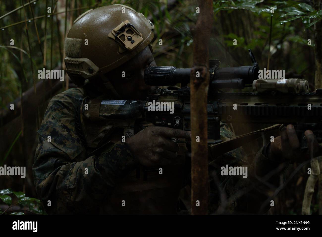 U.S. Marine Corps Cpl. Seraphin Byiringiro, a machine gunner with 1st Battalion, 7th Marines, holds a defensive position during Jungle Warfare Exercise 23 in the Central Training Area on Okinawa, Japan, Feb. 14, 2023. JWX 23 is a large-scale field training exercise focused on leveraging the integrated capabilities of joint and allied partners to strengthen all-domain awareness, maneuver, and fires across distributed maritime environment. Byiringiro is a native of Phoenix, Arizona. Stock Photo