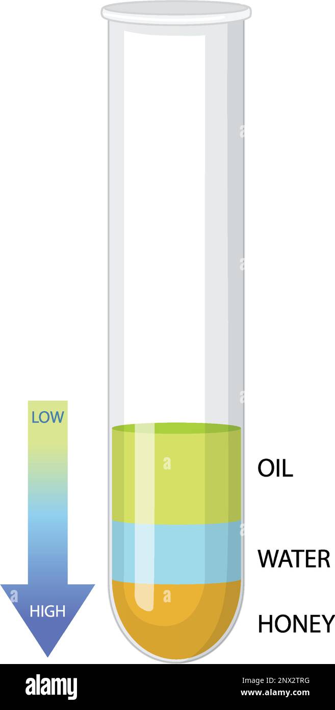 Density of Liquids Science Experiment illustration Stock Vector Image & Art Alamy