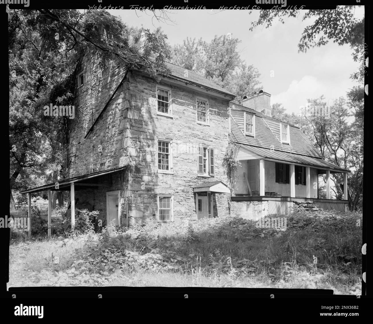 ster's Forest, Churchville vic., Harford County, Maryland. Carnegie