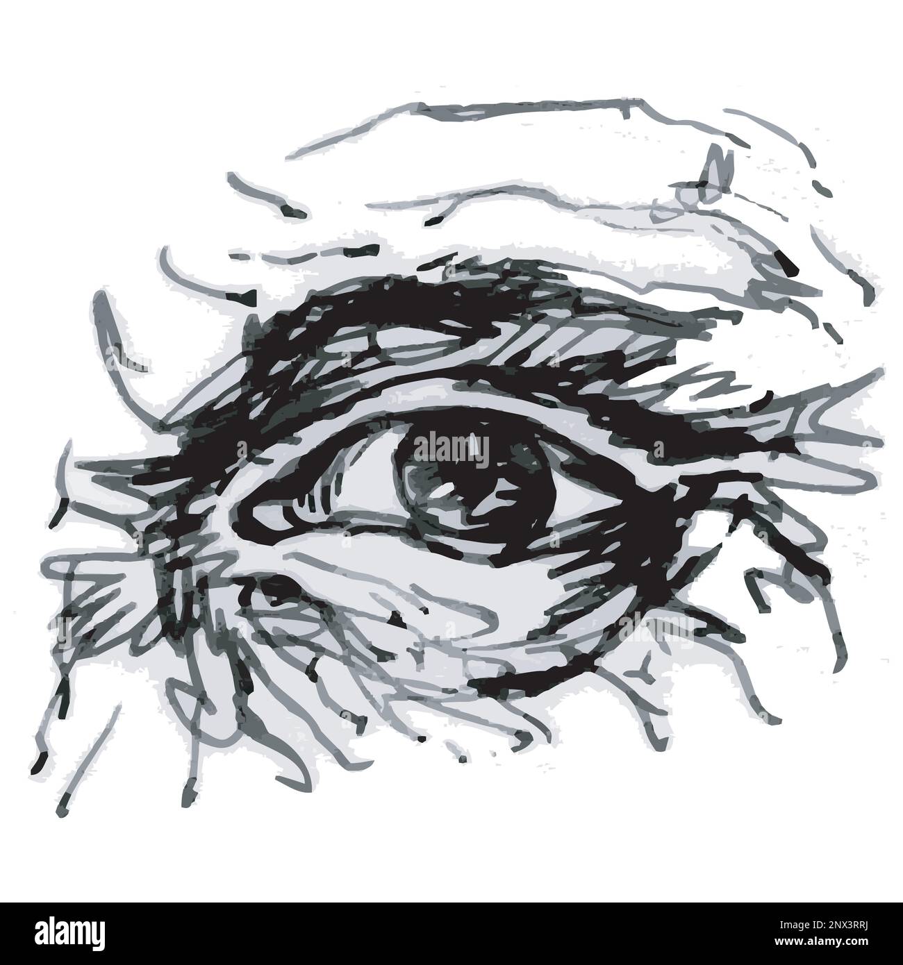 Drawing of an eye, black and white vector hand drawing Stock Vector