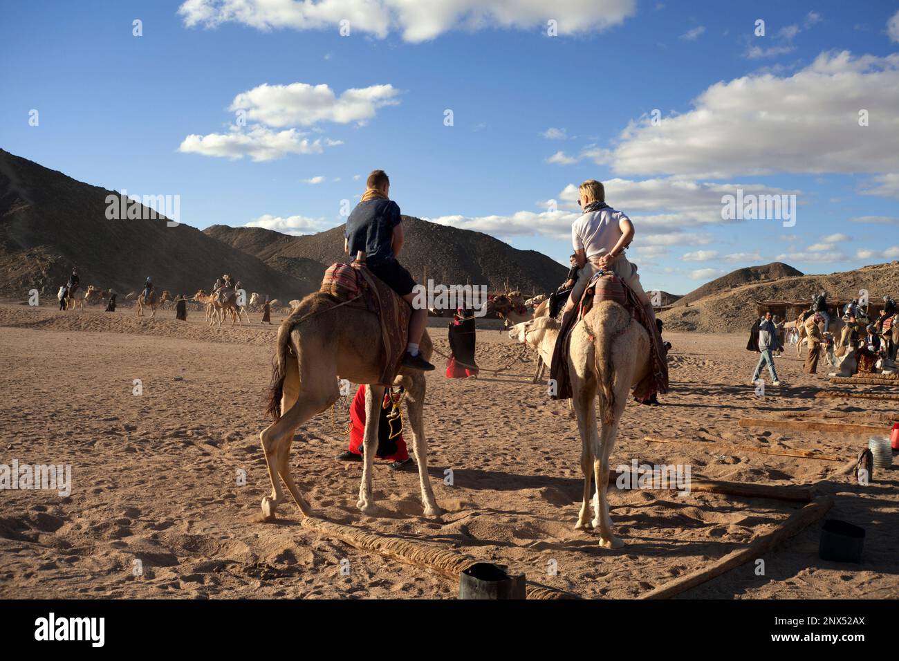 Tourist camel rides in Eastern Desert, Egypt Stock Photo