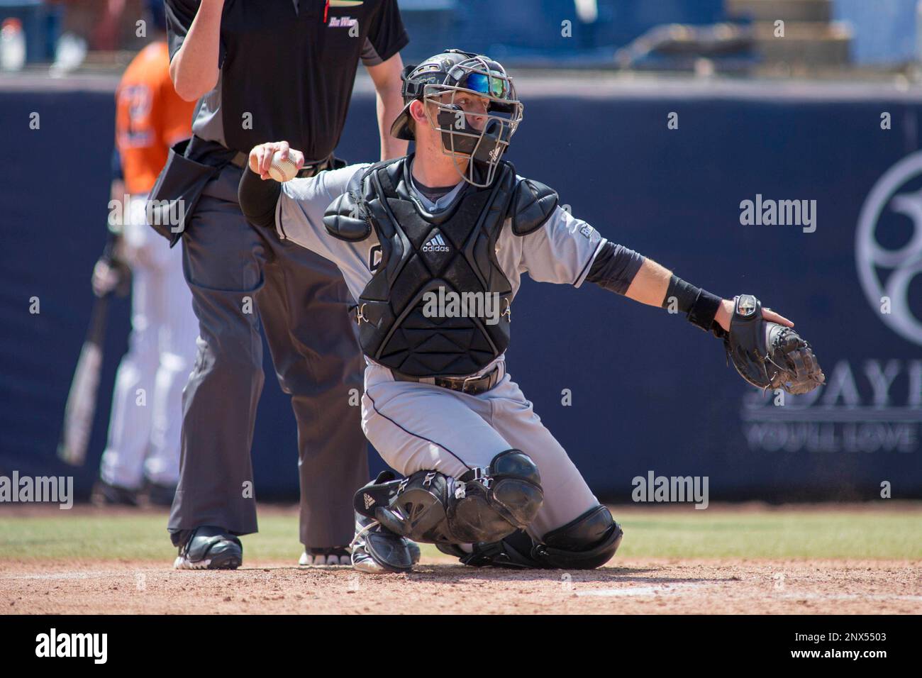 Cal Poly San Luis Obispo Mustangs catcher Nick Meyer (26) in action ...
