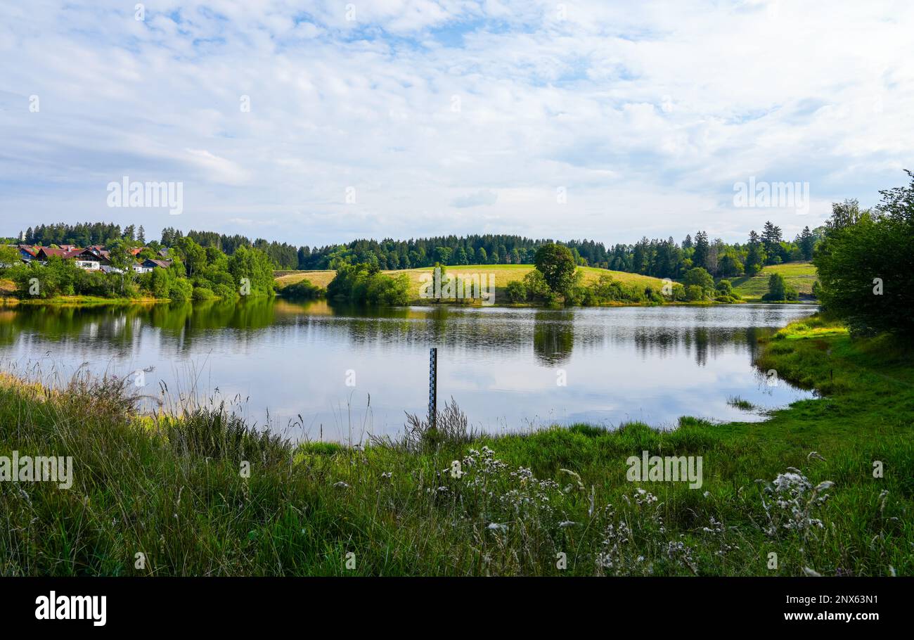 Eschenbacher Teich near ClausthalZellerfeld in the Upper Harz