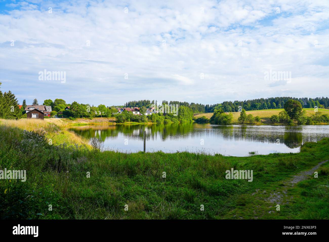 Eschenbacher Teich near ClausthalZellerfeld in the Upper Harz