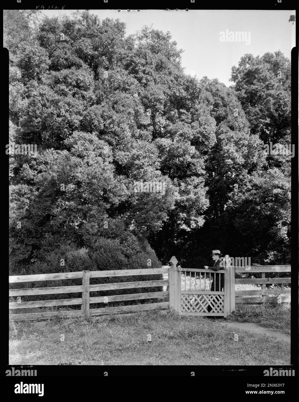 Castle Hill, Charlottesville vic., Albemarle County, Virginia. Carnegie