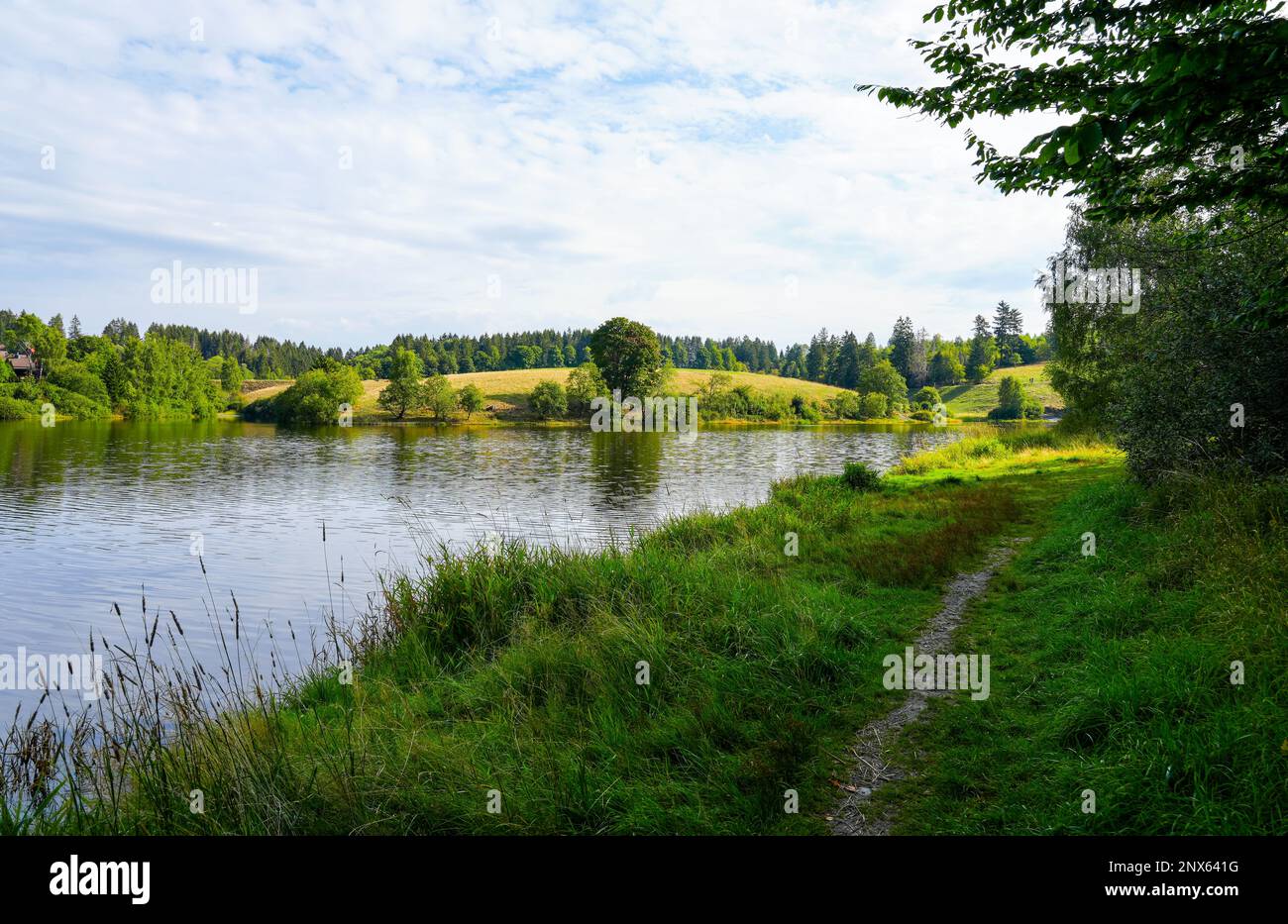 Eschenbacher Teich near ClausthalZellerfeld in the Upper Harz