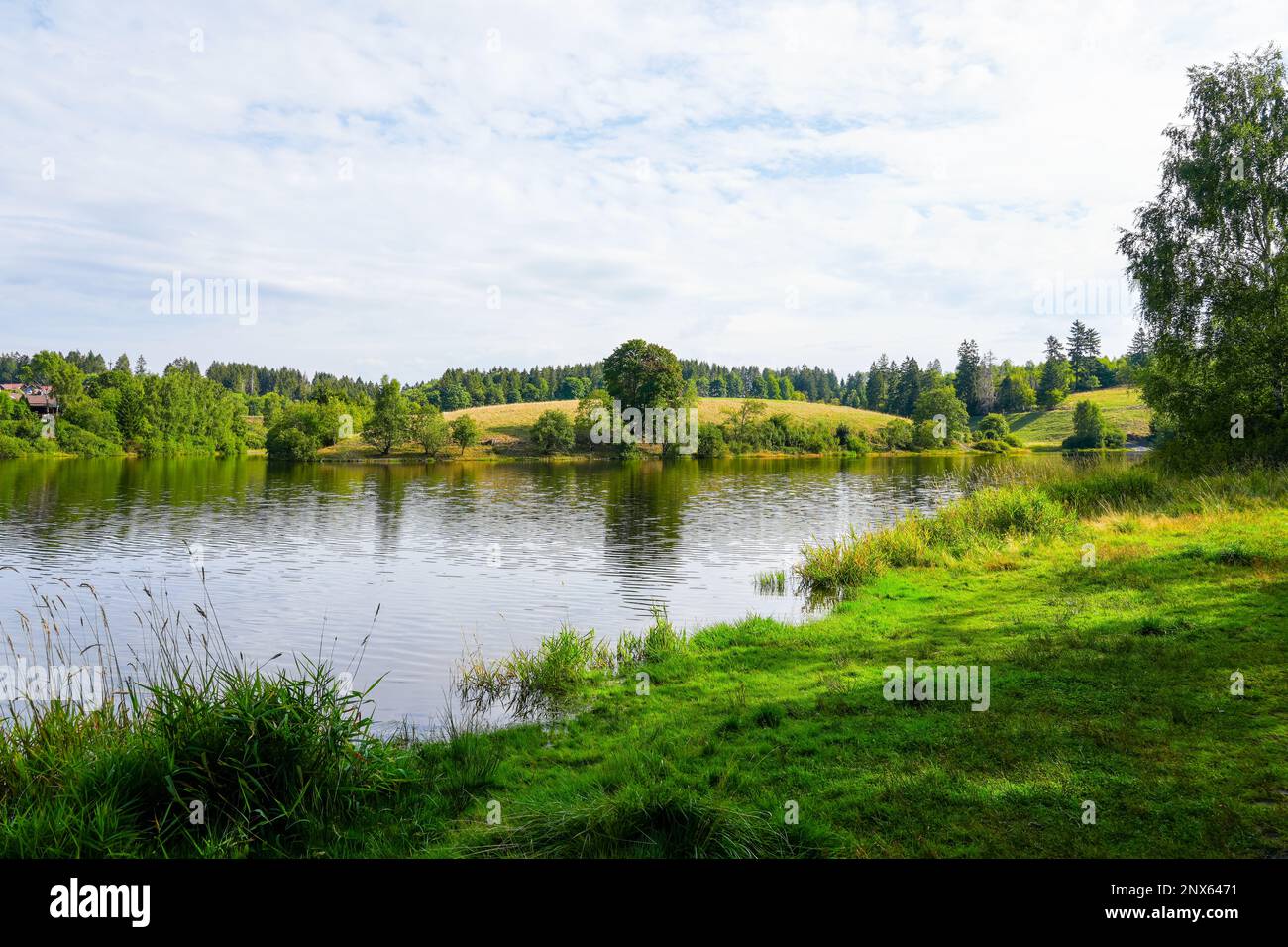 Eschenbacher teich hires stock photography and images Alamy