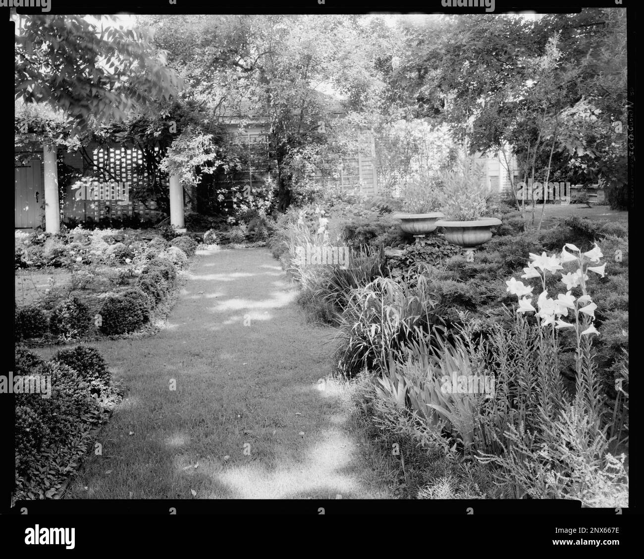 Pendleton House, Warrenton, Warren County, North Carolina. Carnegie