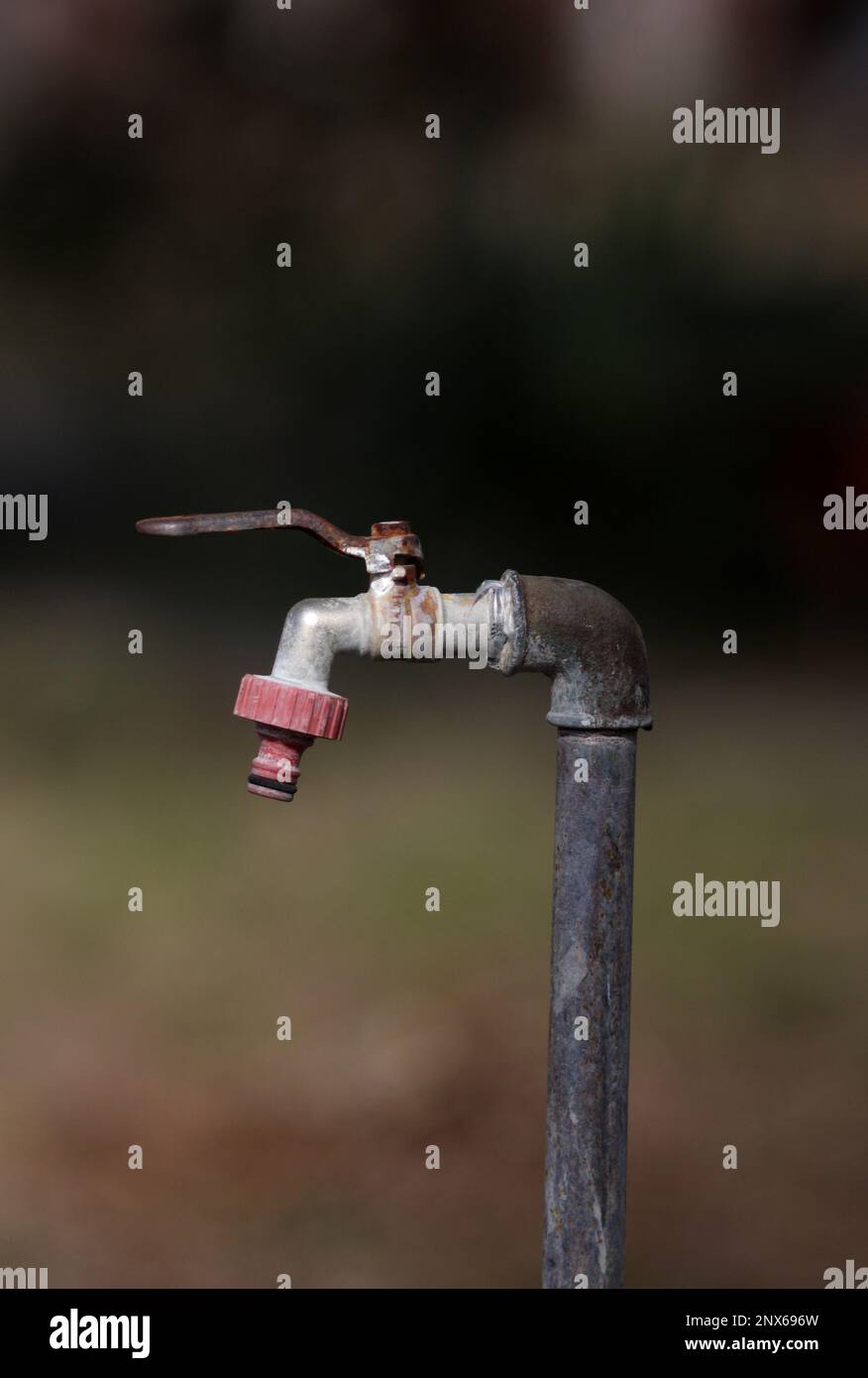 Garden tap, Hungary Stock Photo