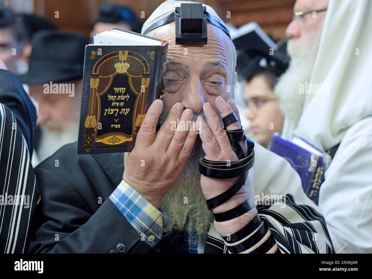 At morning prayer services at the Chabad main synagogue a senior citizen holds his hands to his face. At 770 Eastern Parkway in Crown Heights, B. Stock Photo