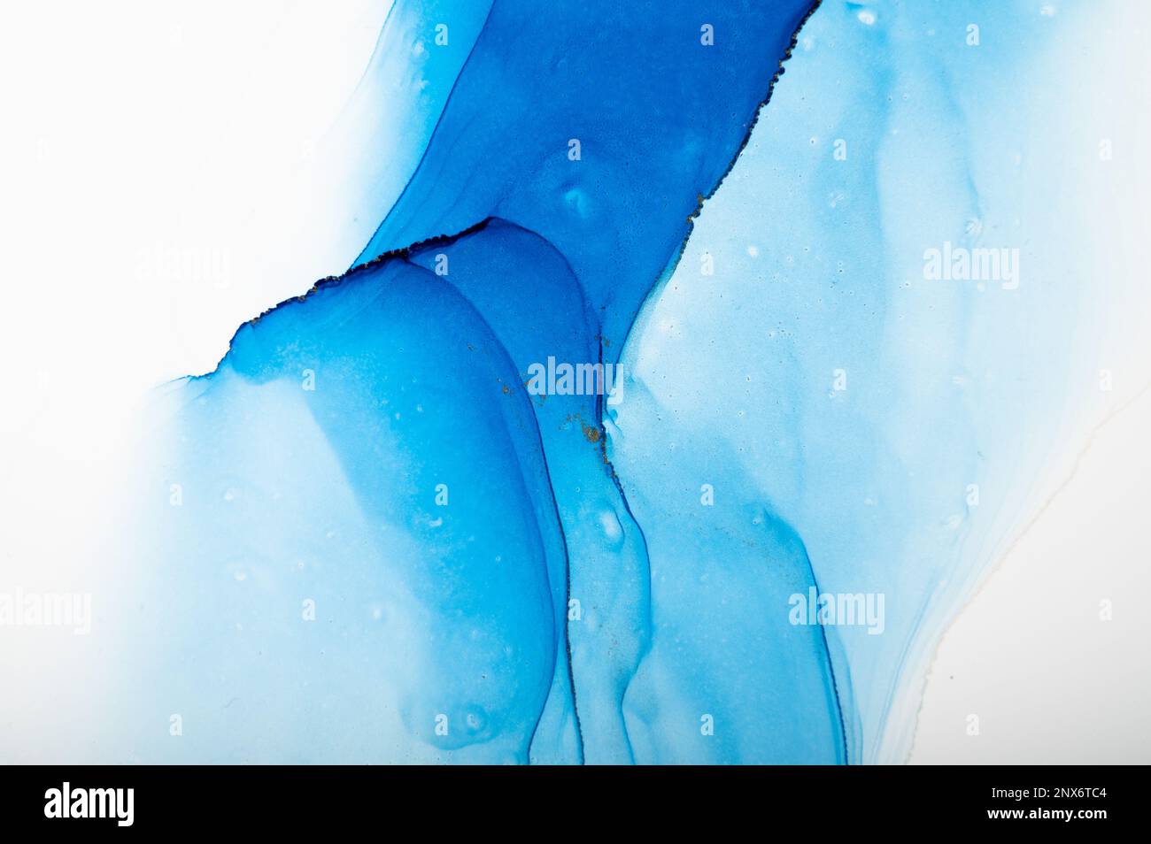 Abstract alcohol ink fluid art background. Blue color with gold Stock ...