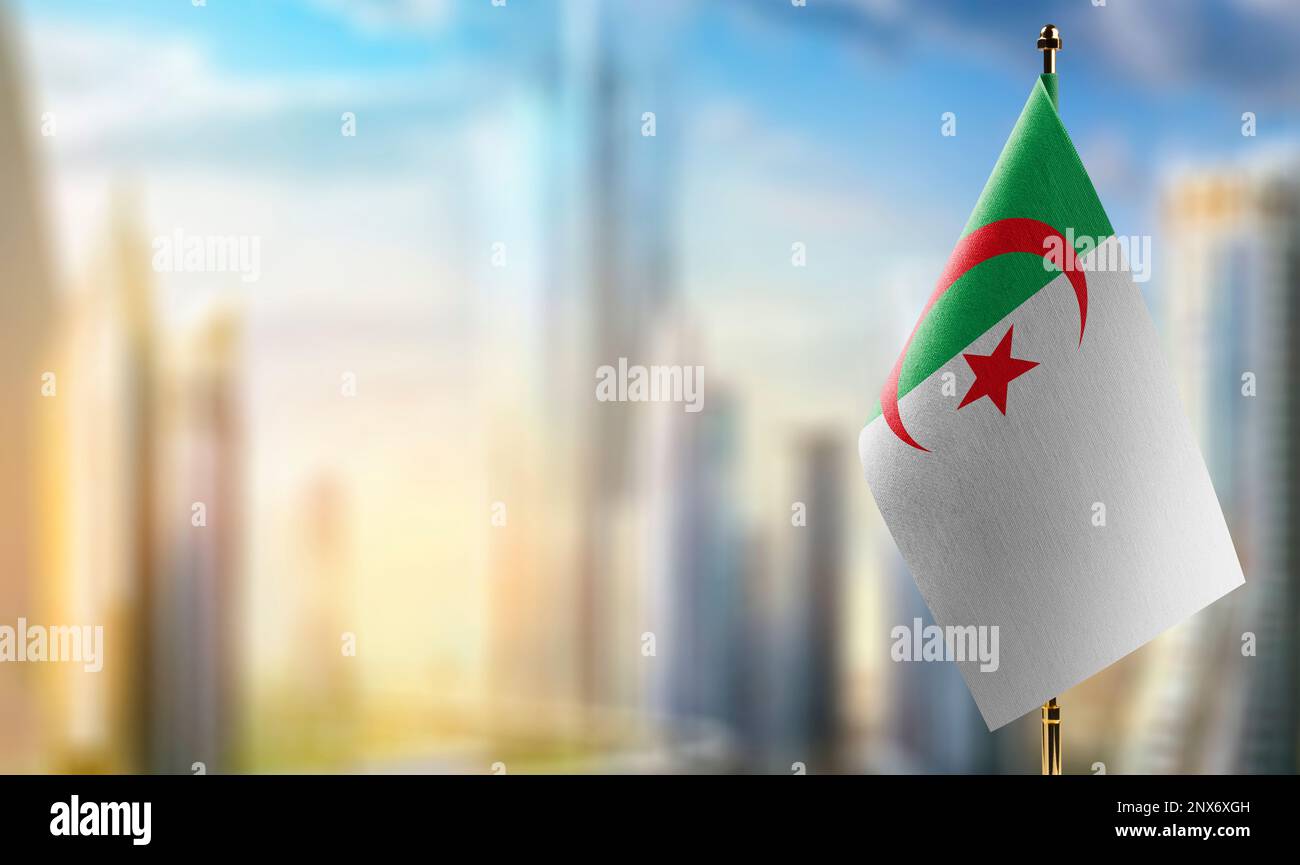 Small flags of the Algeria on an abstract blurry background. Stock Photo