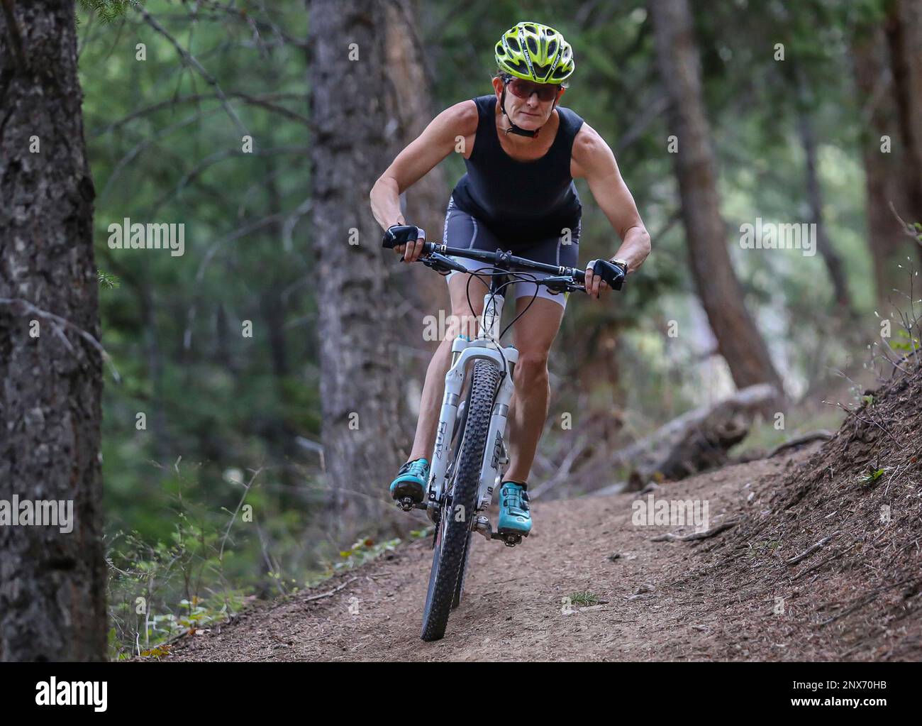 Paven trail bike sale