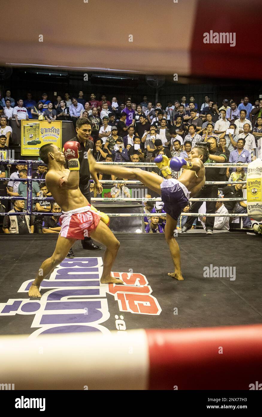 Muay Thai boxers fighting, Bangkok, Thailand Stock Photo Alamy
