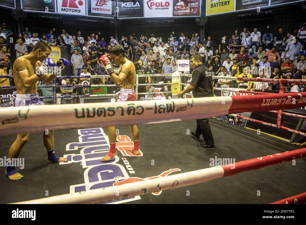 Muay Thai boxers fighting, Bangkok, Thailand Stock Photo Alamy