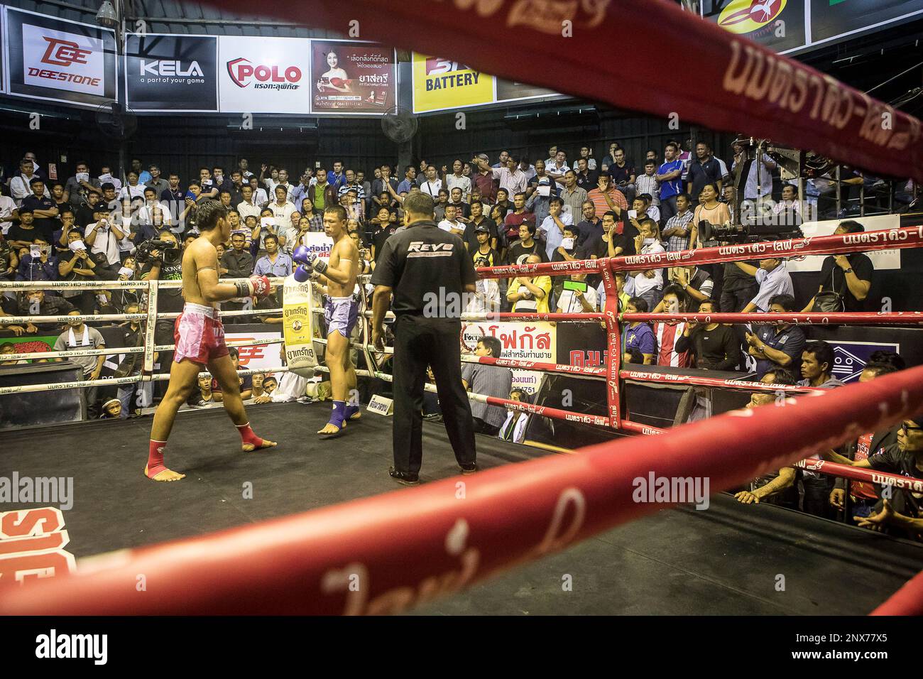 Muay Thai boxers fighting, Bangkok, Thailand Stock Photo Alamy