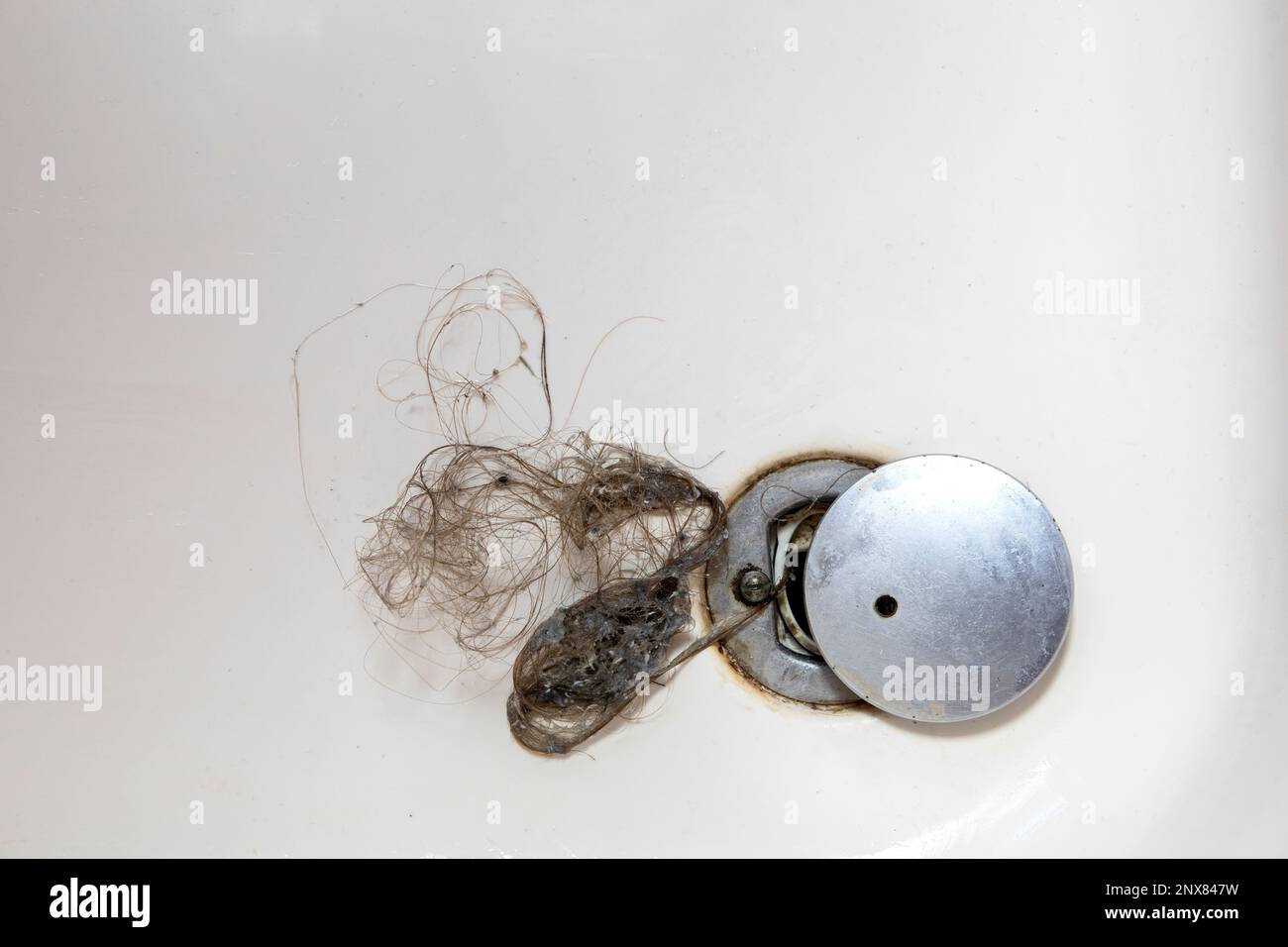 Shower drain is clogged with hair, Hair pile loss in a bathroom after