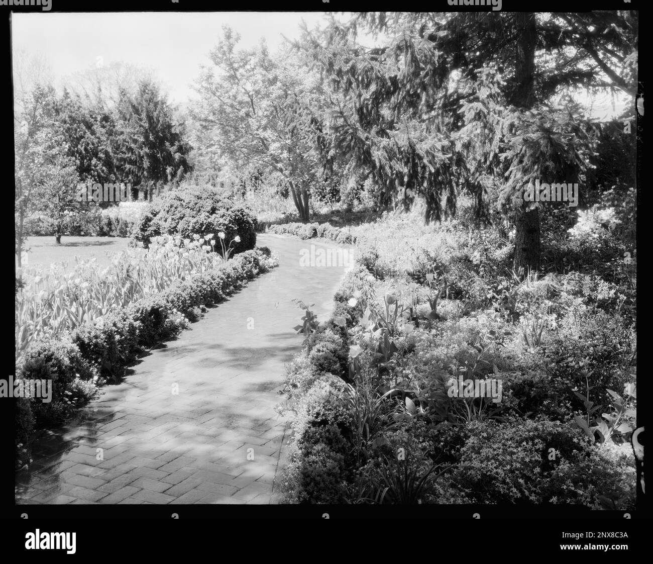 Rose Hill, Greenwood, Albemarle County, Virginia. Carnegie Survey of the Architecture of the South. United States  Virginia  Albemarle County  Greenwood, Trails & paths, Gardens. Stock Photo