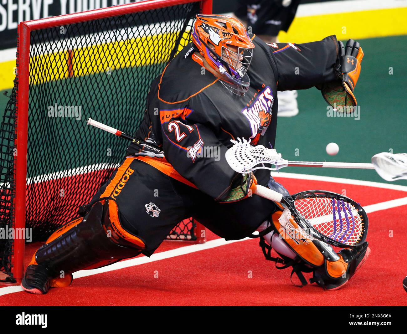 Nll Goales NLL (National Lacross League) player profile photo on Buffalo Bandits ...