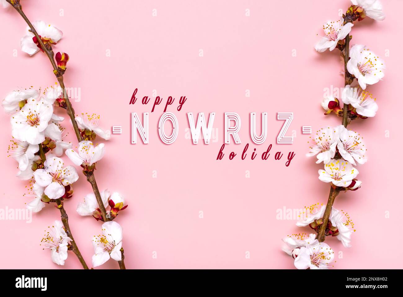 Sprigs of the apricot tree with flowers on pink background Text Happy Nowruz Holiday Concept of spring came Top view Flat lay Hello march, persian new Stock Photo