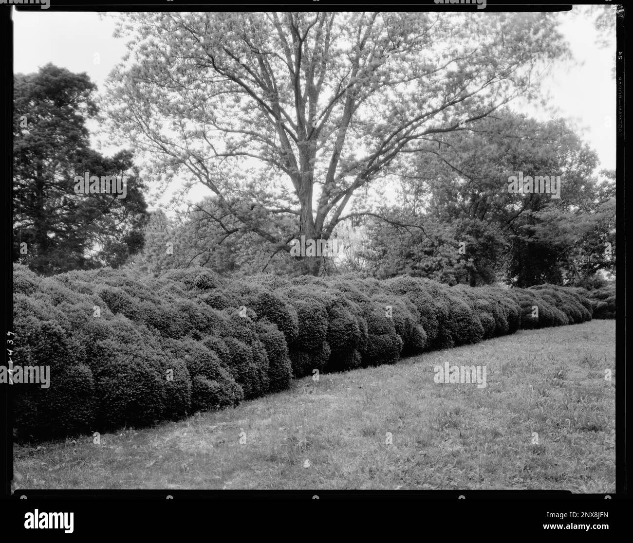 Upper Brandon, Prince County, Virginia. Carnegie Survey of the