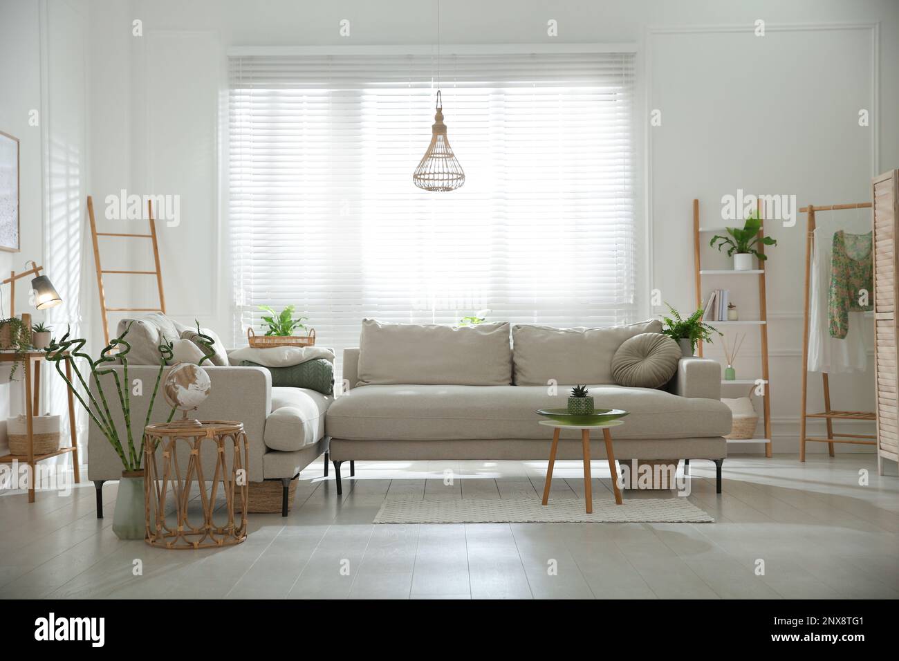 Stylish living room interior with comfortable grey sofa and plants ...