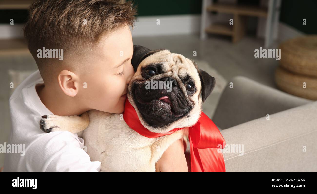 Pedigree dog gift hi-res stock photography and images - Alamy