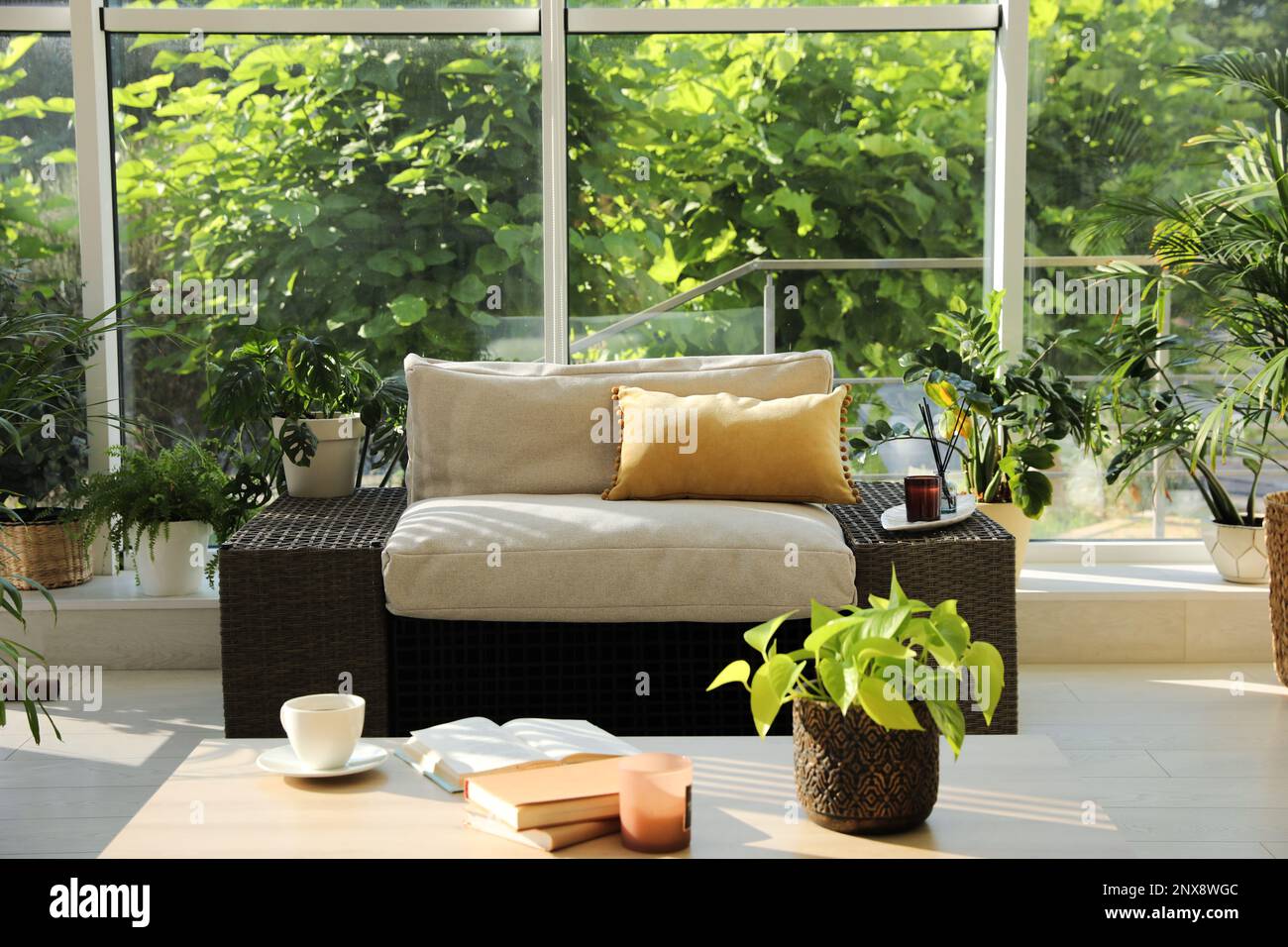 Indoor terrace interior with modern furniture and houseplants Stock Photo